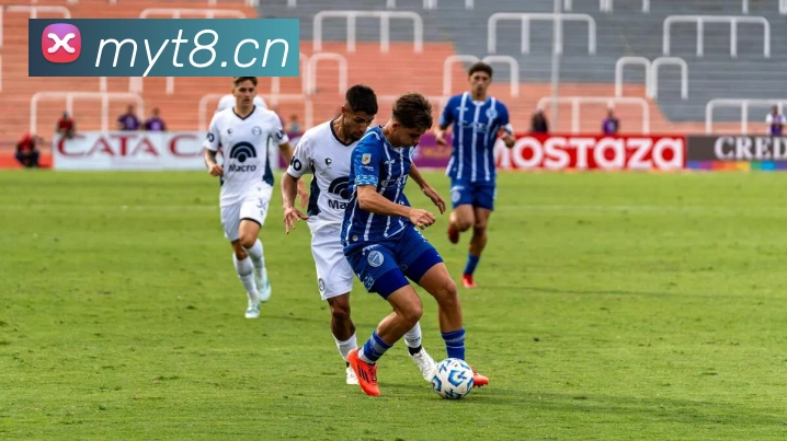 开云综合app官网登录平台生态图